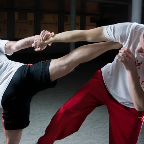 MMA אומנויות לחימה משולבות
